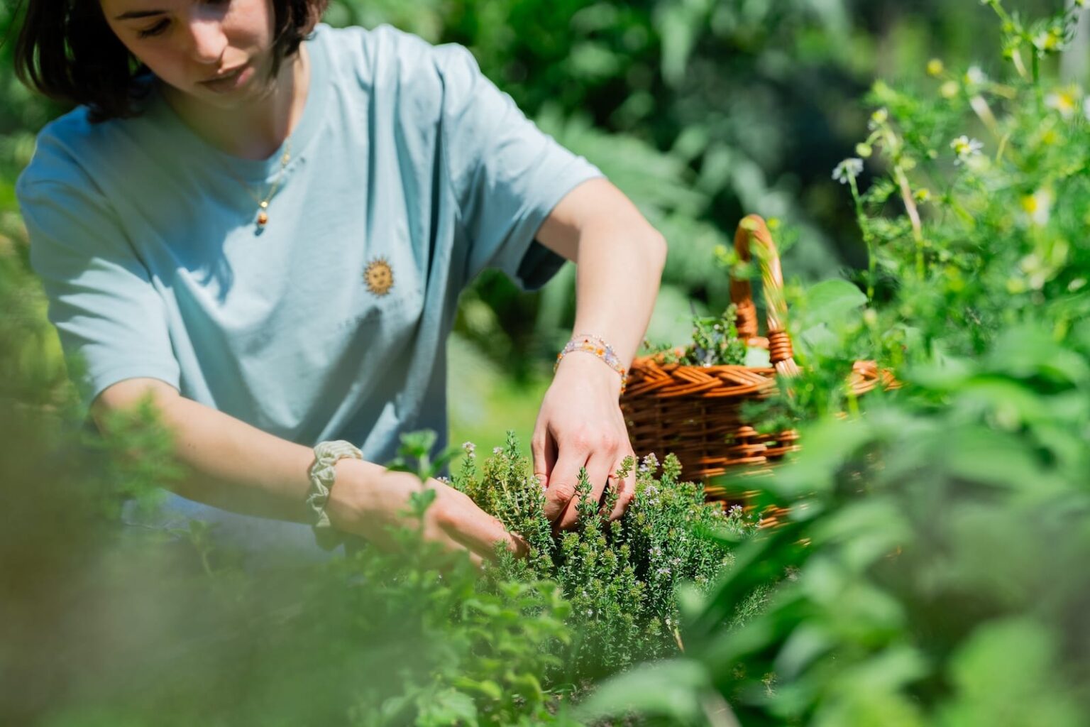 Wild Herbs of Val d’Orcia: how we use them at Serendipity