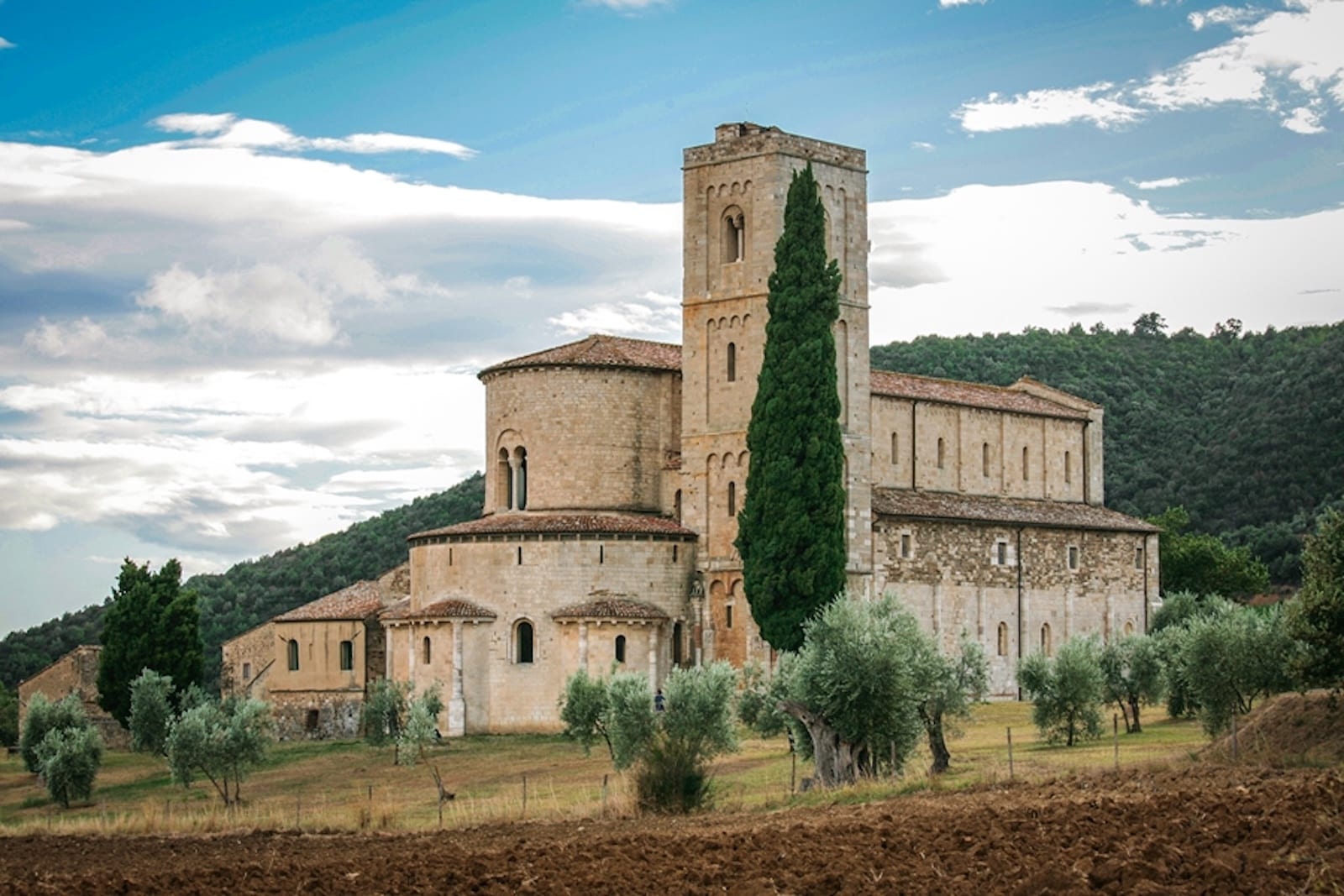 Cypresses and the Landscapes of Val d’Orcia: the vertical soul of Tuscany