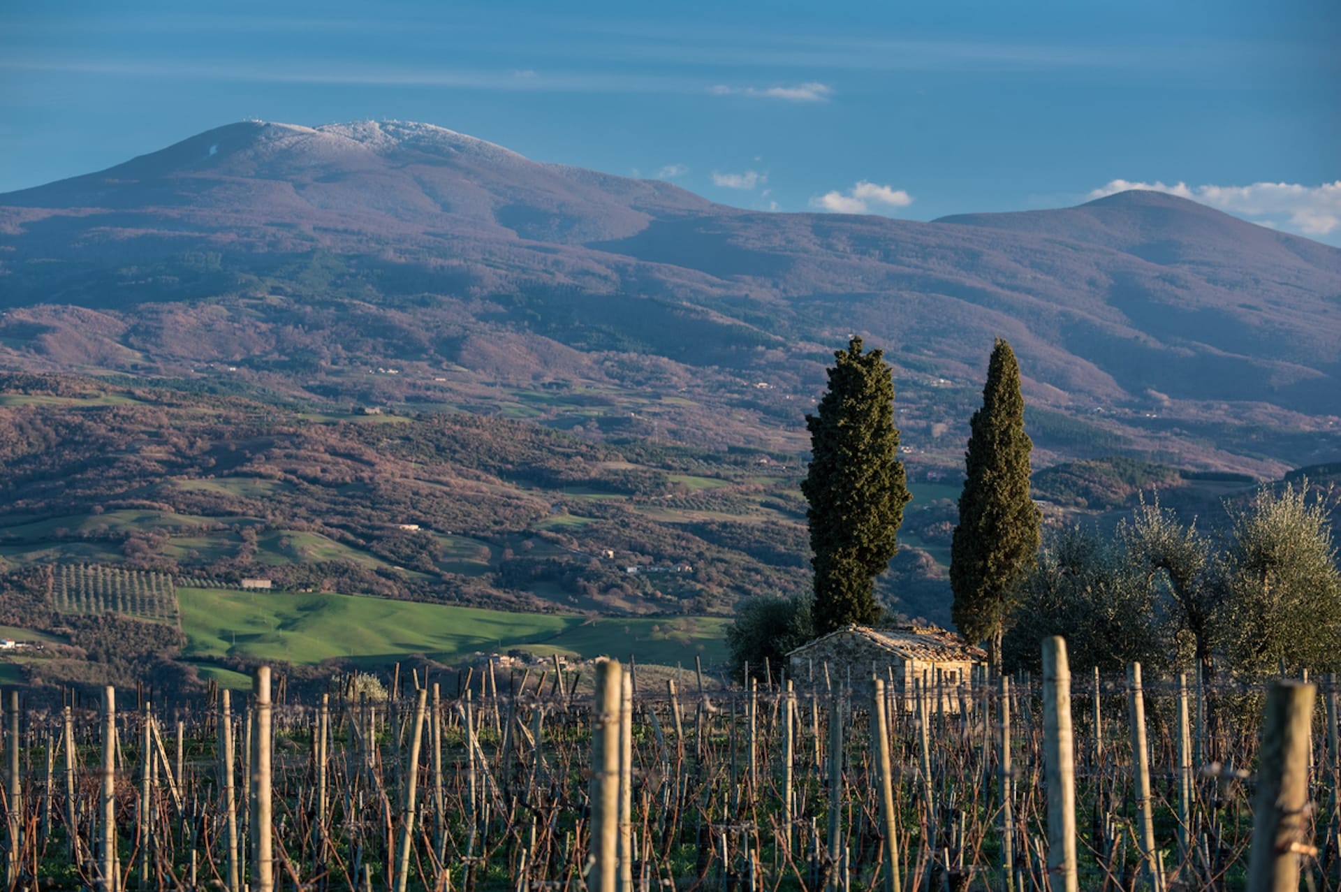 Biodynamic Farming: Listening to the Pulse of the Val d’Orcia