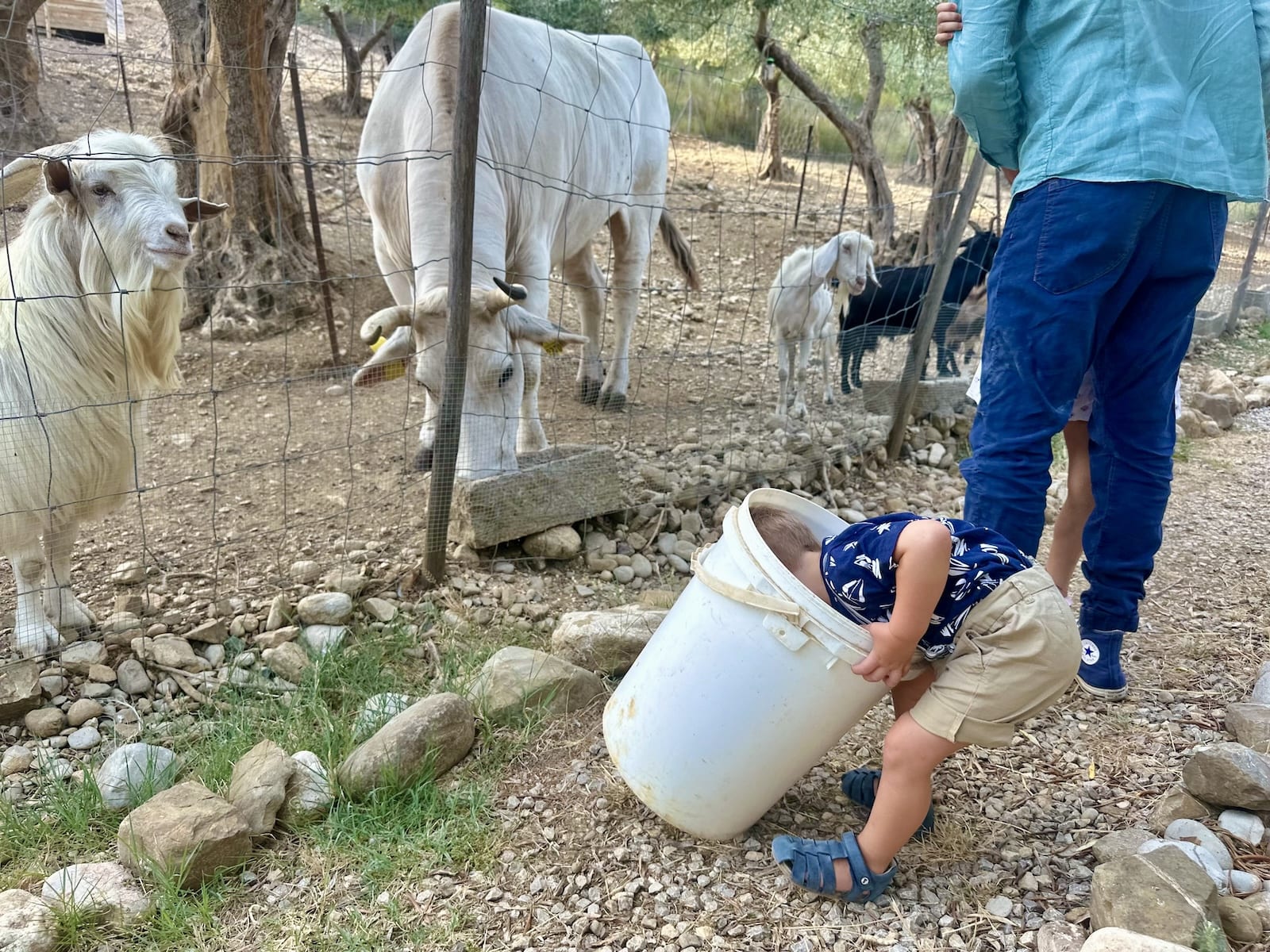Serendipity through the eyes of a kid